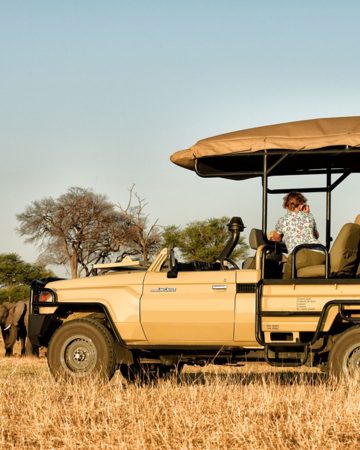 Wildlife Safaris